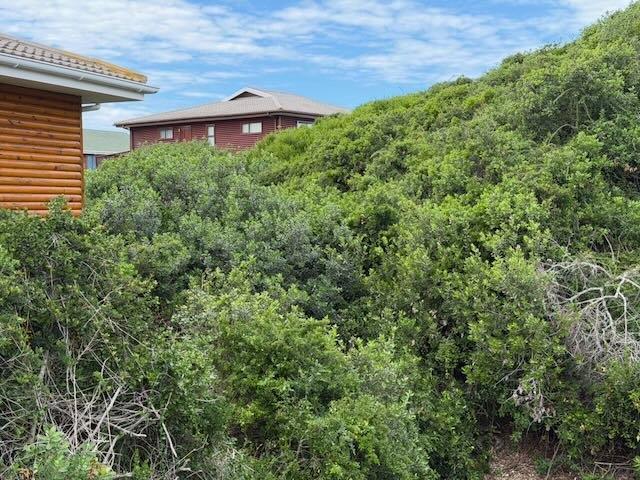 0 Bedroom Property for Sale in Dwarswegstrand Western Cape